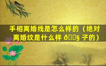 手相离婚线是怎么样的（绝对离婚纹是什么样 🐧 子的）